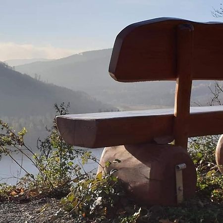 Ferienwohnung Reese- Horstmann Mit Hallenbad Und Sauna, Wlan "Harz Zu Jeder Jahreszeit" Bad Harzburg Exteriér fotografie