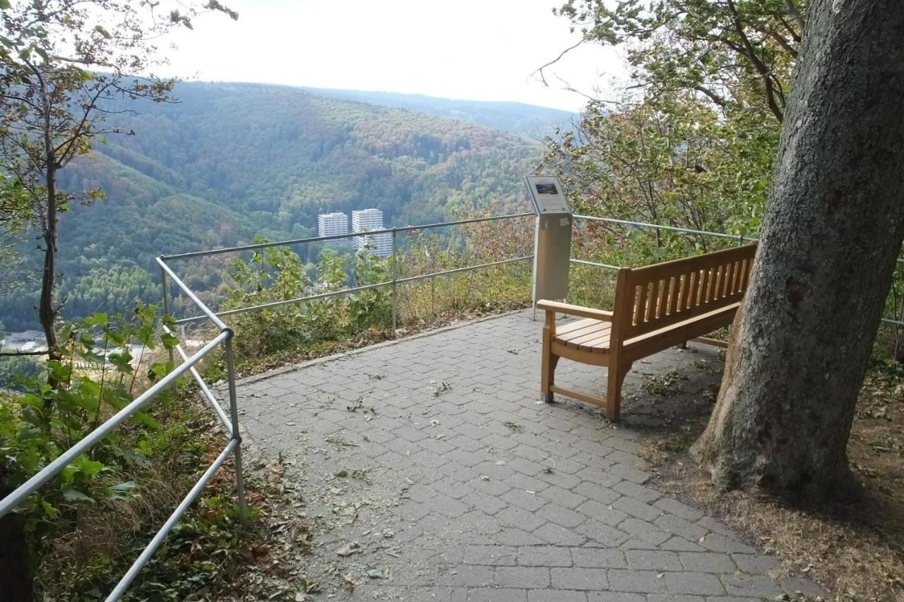 Ferienwohnung Reese- Horstmann Mit Hallenbad Und Sauna, Wlan "Harz Zu Jeder Jahreszeit" Bad Harzburg Exteriér fotografie