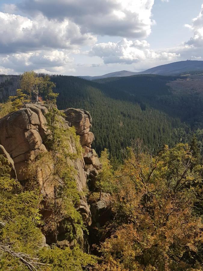 Ferienwohnung Reese- Horstmann Mit Hallenbad Und Sauna, Wlan "Harz Zu Jeder Jahreszeit" Bad Harzburg Exteriér fotografie