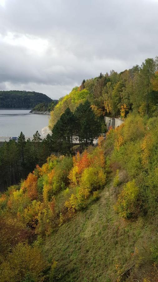 Ferienwohnung Reese- Horstmann Mit Hallenbad Und Sauna, Wlan "Harz Zu Jeder Jahreszeit" Bad Harzburg Exteriér fotografie