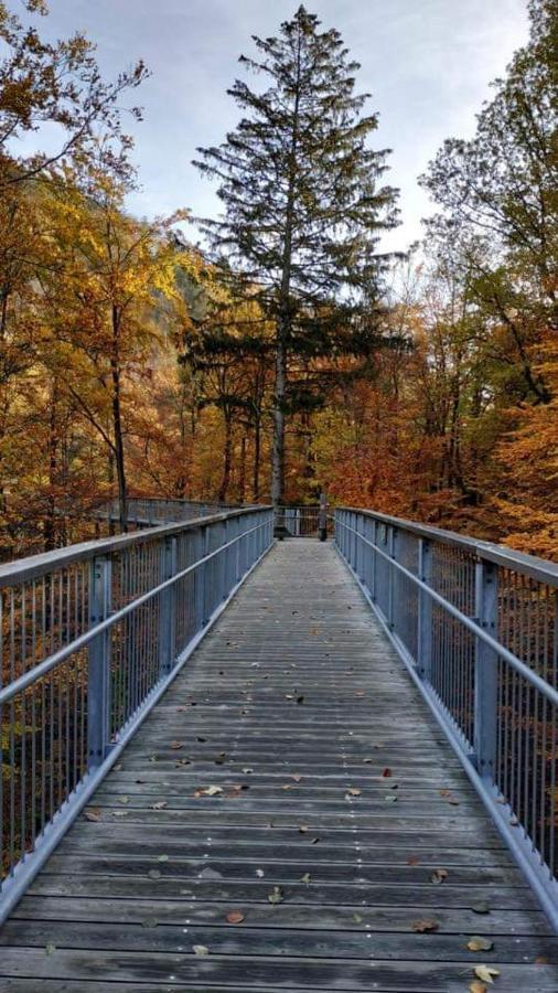 Ferienwohnung Reese- Horstmann Mit Hallenbad Und Sauna, Wlan "Harz Zu Jeder Jahreszeit" Bad Harzburg Exteriér fotografie