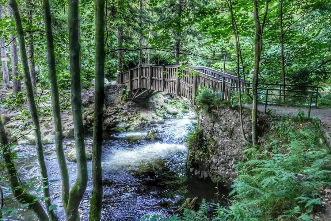 Ferienwohnung Reese- Horstmann Mit Hallenbad Und Sauna, Wlan "Harz Zu Jeder Jahreszeit" Bad Harzburg Exteriér fotografie
