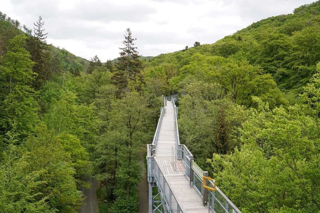 Ferienwohnung Reese- Horstmann Mit Hallenbad Und Sauna, Wlan "Harz Zu Jeder Jahreszeit" Bad Harzburg Exteriér fotografie