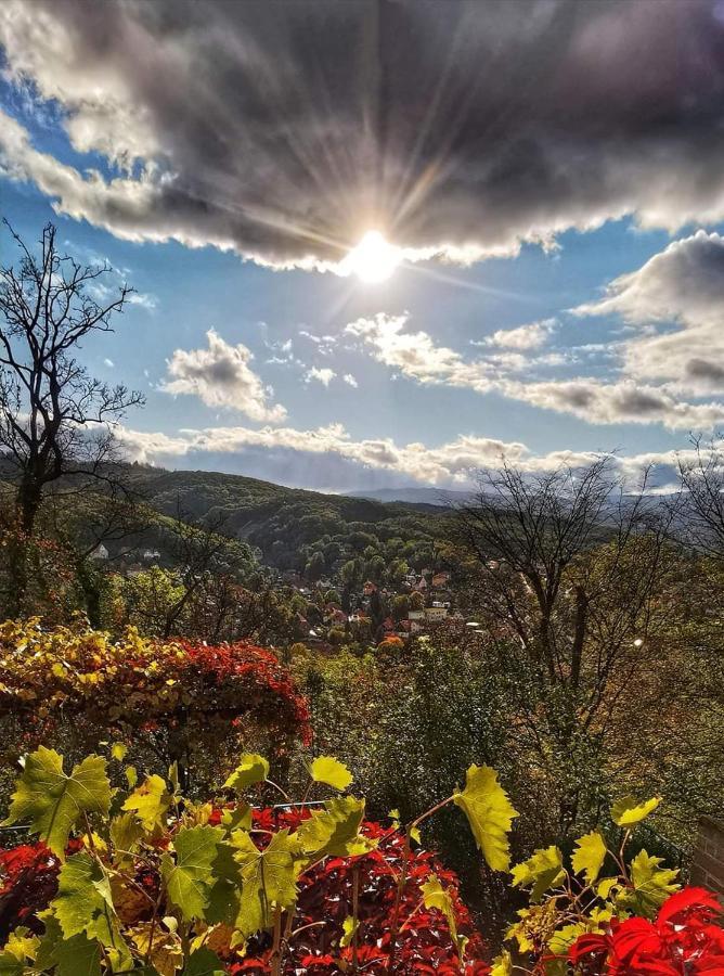 Ferienwohnung Reese- Horstmann Mit Hallenbad Und Sauna, Wlan "Harz Zu Jeder Jahreszeit" Bad Harzburg Exteriér fotografie