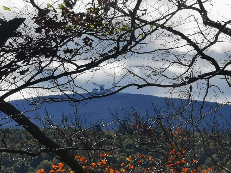 Ferienwohnung Reese- Horstmann Mit Hallenbad Und Sauna, Wlan "Harz Zu Jeder Jahreszeit" Bad Harzburg Exteriér fotografie