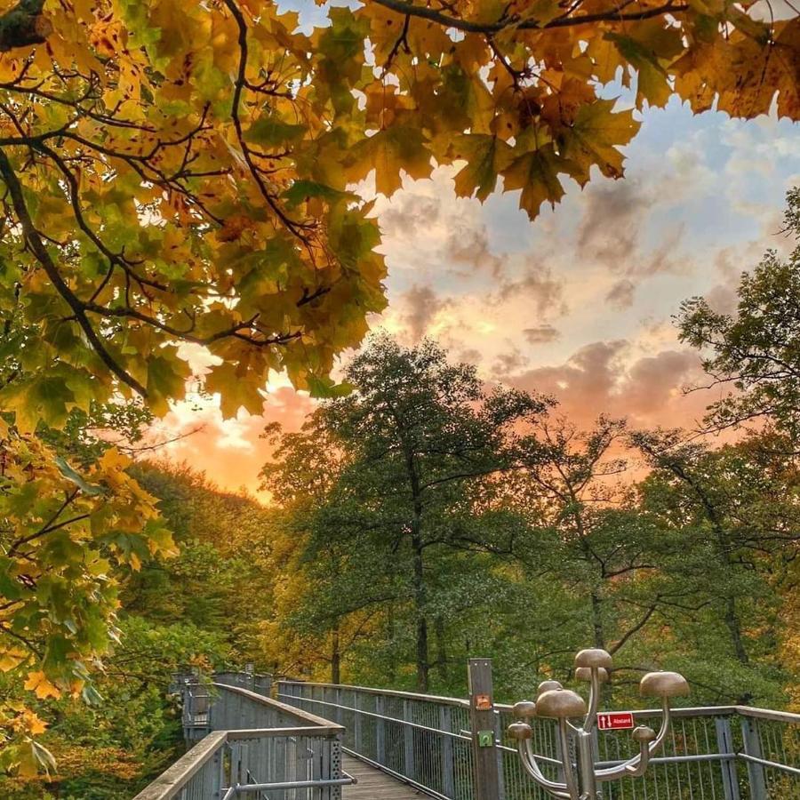Ferienwohnung Reese- Horstmann Mit Hallenbad Und Sauna, Wlan "Harz Zu Jeder Jahreszeit" Bad Harzburg Exteriér fotografie