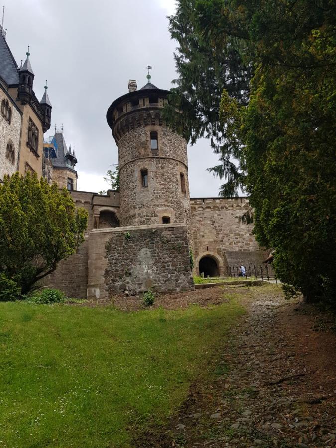 Ferienwohnung Reese- Horstmann Mit Hallenbad Und Sauna, Wlan "Harz Zu Jeder Jahreszeit" Bad Harzburg Exteriér fotografie