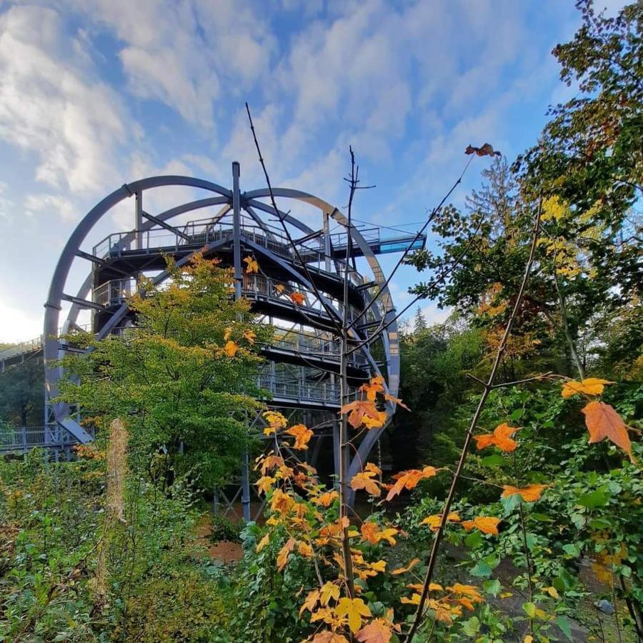 Ferienwohnung Reese- Horstmann Mit Hallenbad Und Sauna, Wlan "Harz Zu Jeder Jahreszeit" Bad Harzburg Exteriér fotografie