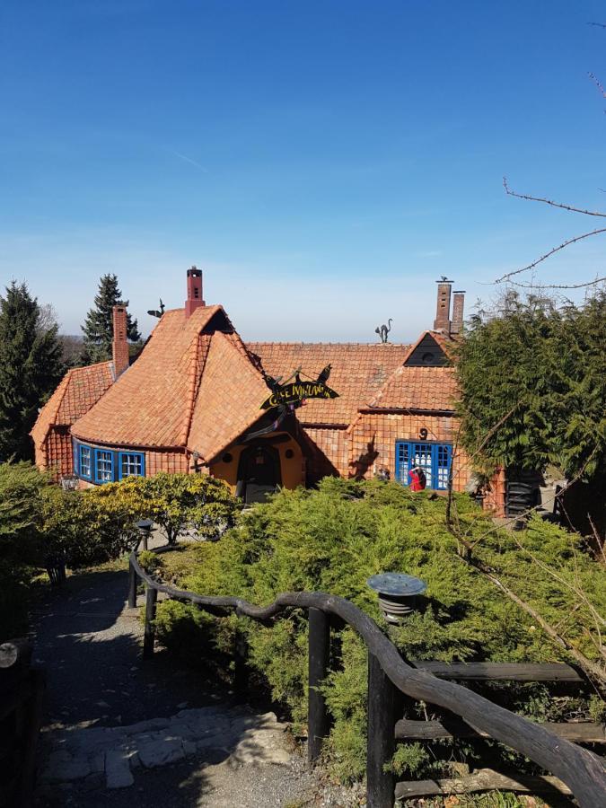 Ferienwohnung Reese- Horstmann Mit Hallenbad Und Sauna, Wlan "Harz Zu Jeder Jahreszeit" Bad Harzburg Exteriér fotografie