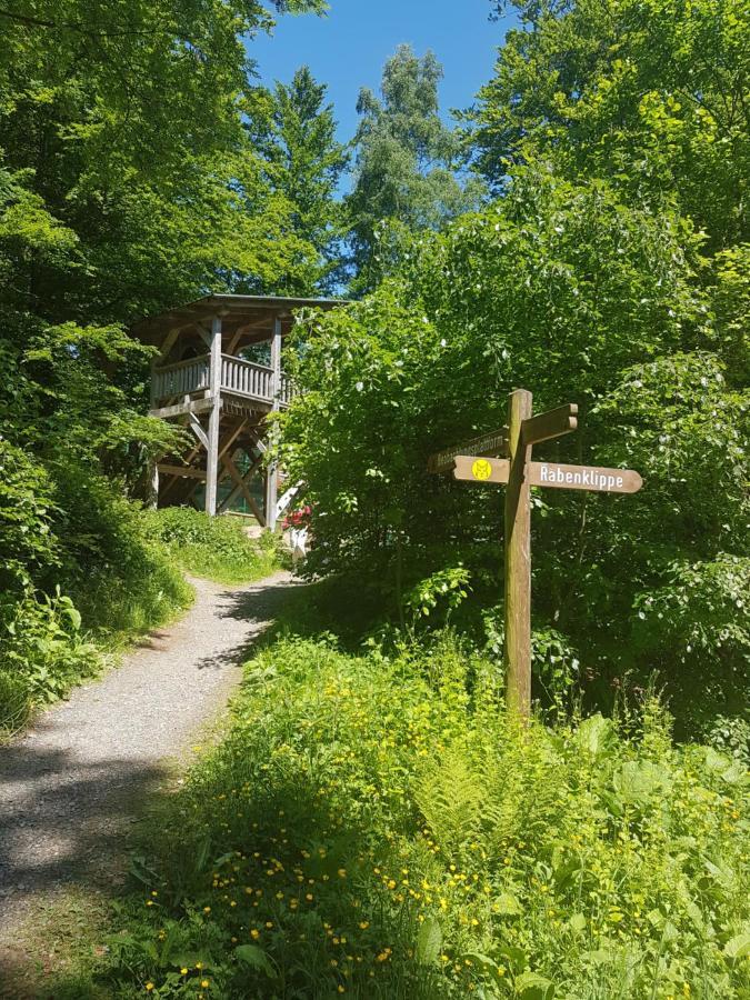 Ferienwohnung Reese- Horstmann Mit Hallenbad Und Sauna, Wlan "Harz Zu Jeder Jahreszeit" Bad Harzburg Exteriér fotografie