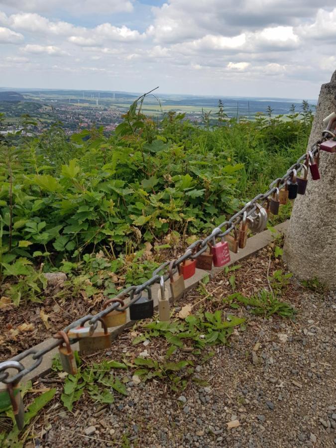 Ferienwohnung Reese- Horstmann Mit Hallenbad Und Sauna, Wlan "Harz Zu Jeder Jahreszeit" Bad Harzburg Exteriér fotografie