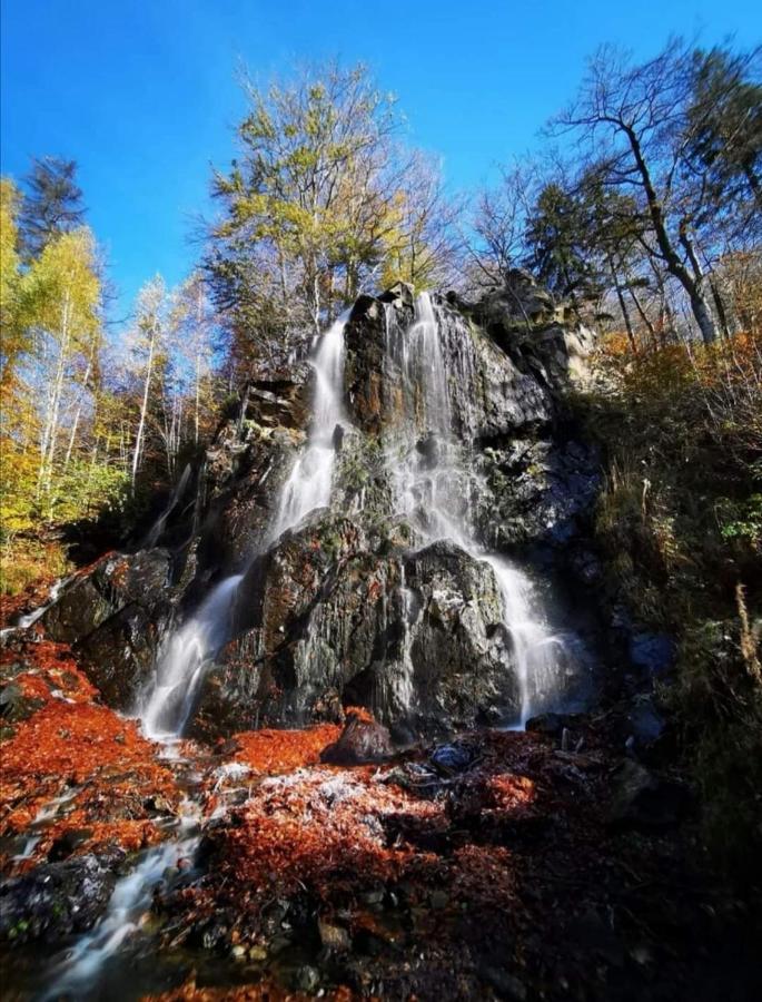 Ferienwohnung Reese- Horstmann Mit Hallenbad Und Sauna, Wlan "Harz Zu Jeder Jahreszeit" Bad Harzburg Exteriér fotografie