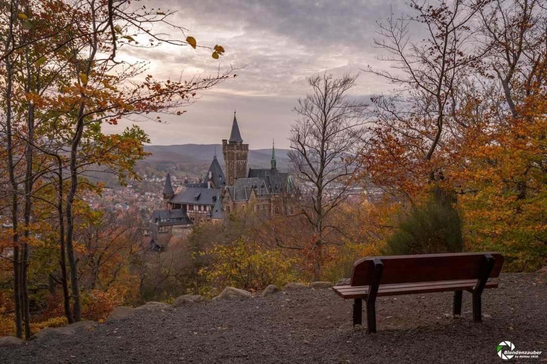 Ferienwohnung Reese- Horstmann Mit Hallenbad Und Sauna, Wlan "Harz Zu Jeder Jahreszeit" Bad Harzburg Exteriér fotografie
