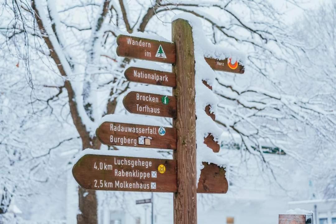 Ferienwohnung Reese- Horstmann Mit Hallenbad Und Sauna, Wlan "Harz Zu Jeder Jahreszeit" Bad Harzburg Exteriér fotografie