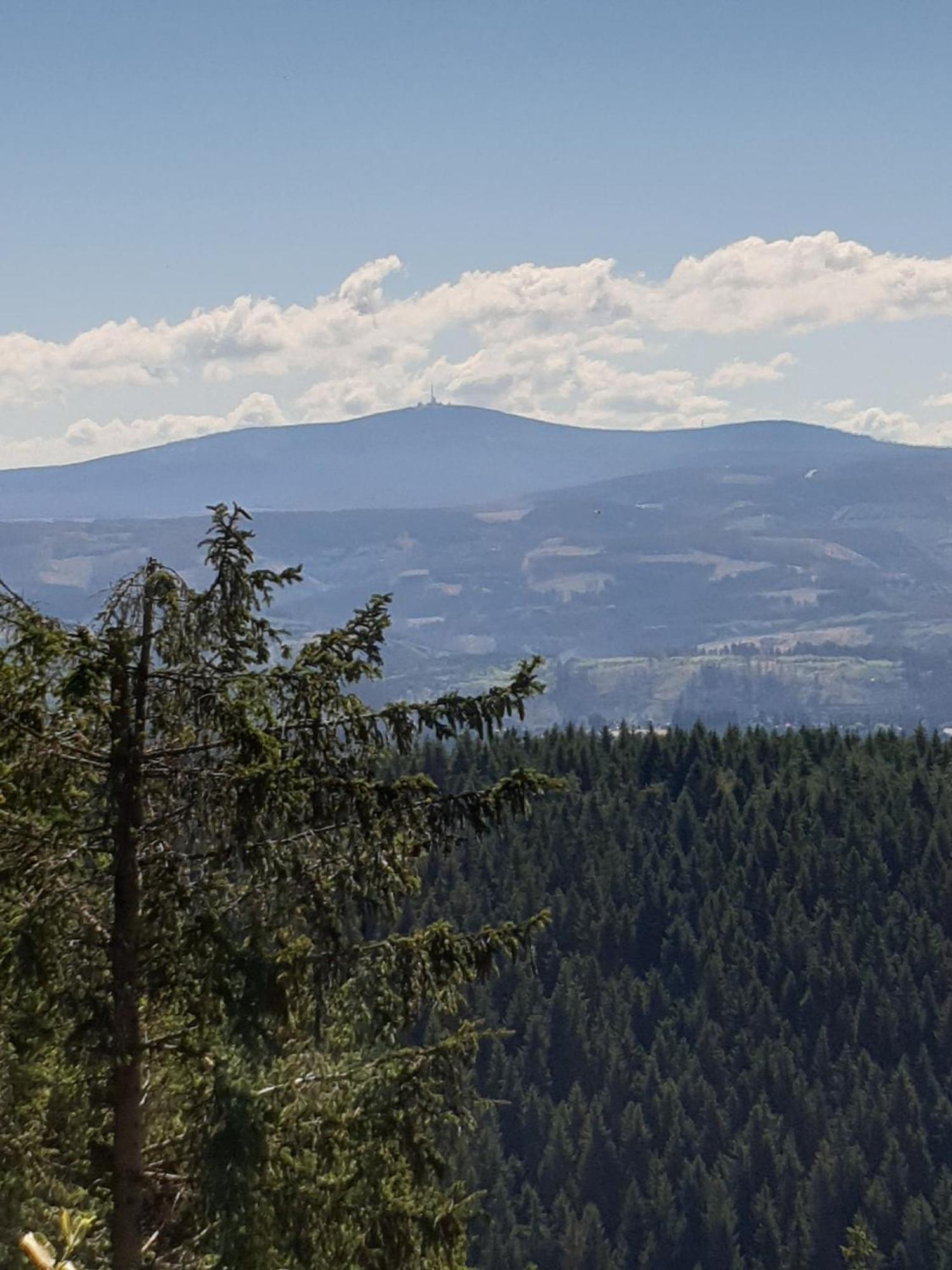 Ferienwohnung Reese- Horstmann Mit Hallenbad Und Sauna, Wlan "Harz Zu Jeder Jahreszeit" Bad Harzburg Pokoj fotografie
