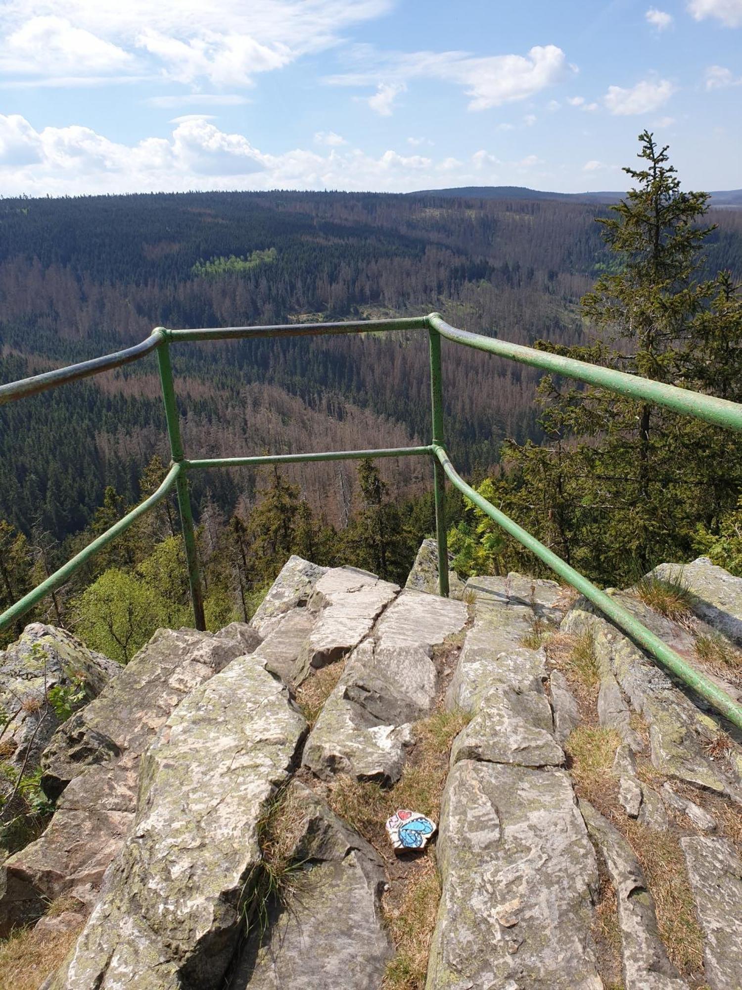 Ferienwohnung Reese- Horstmann Mit Hallenbad Und Sauna, Wlan "Harz Zu Jeder Jahreszeit" Bad Harzburg Pokoj fotografie