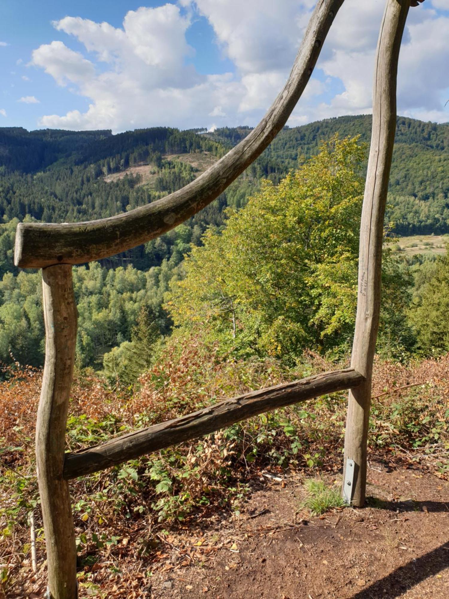 Ferienwohnung Reese- Horstmann Mit Hallenbad Und Sauna, Wlan "Harz Zu Jeder Jahreszeit" Bad Harzburg Pokoj fotografie