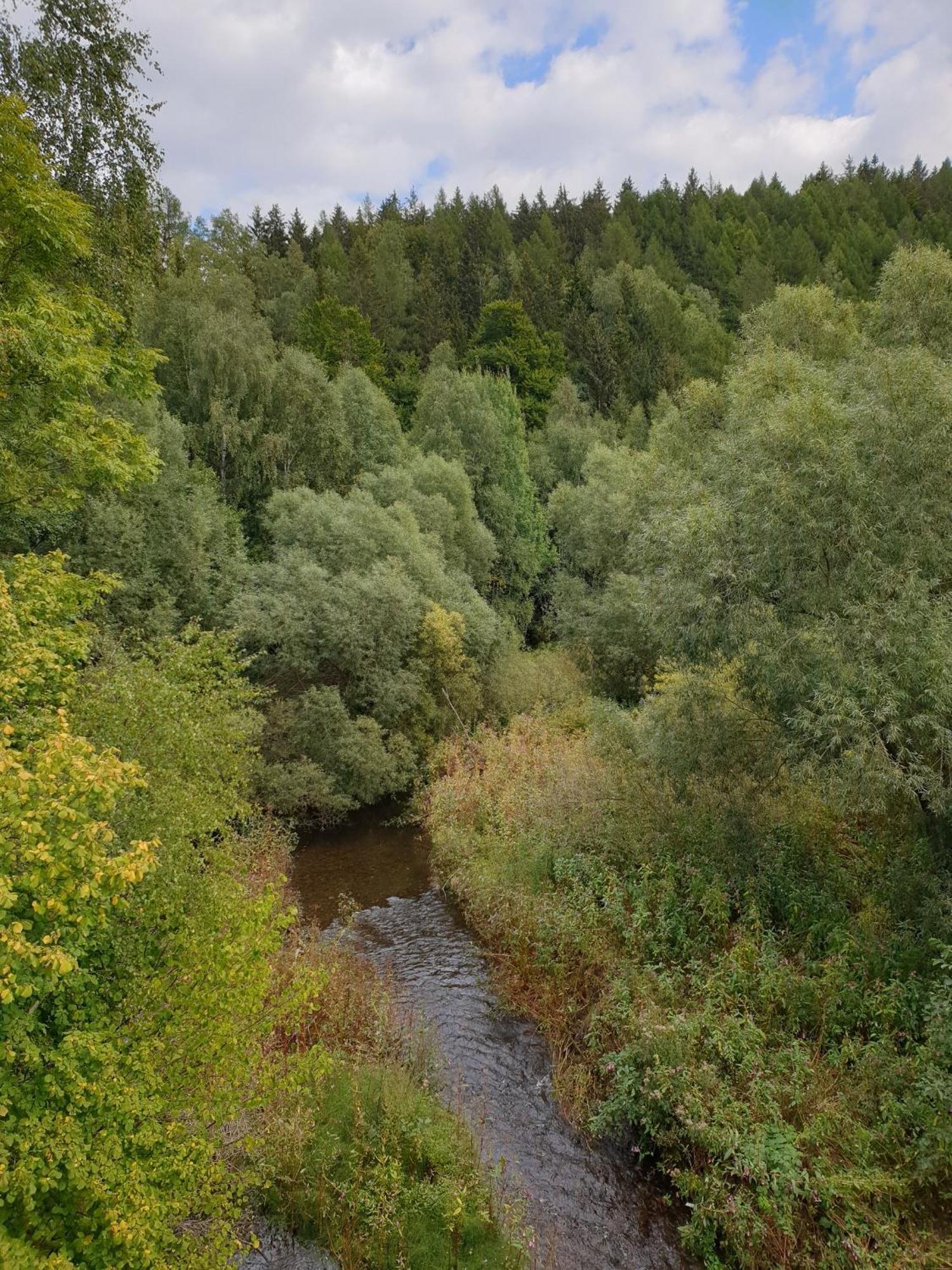 Ferienwohnung Reese- Horstmann Mit Hallenbad Und Sauna, Wlan "Harz Zu Jeder Jahreszeit" Bad Harzburg Pokoj fotografie