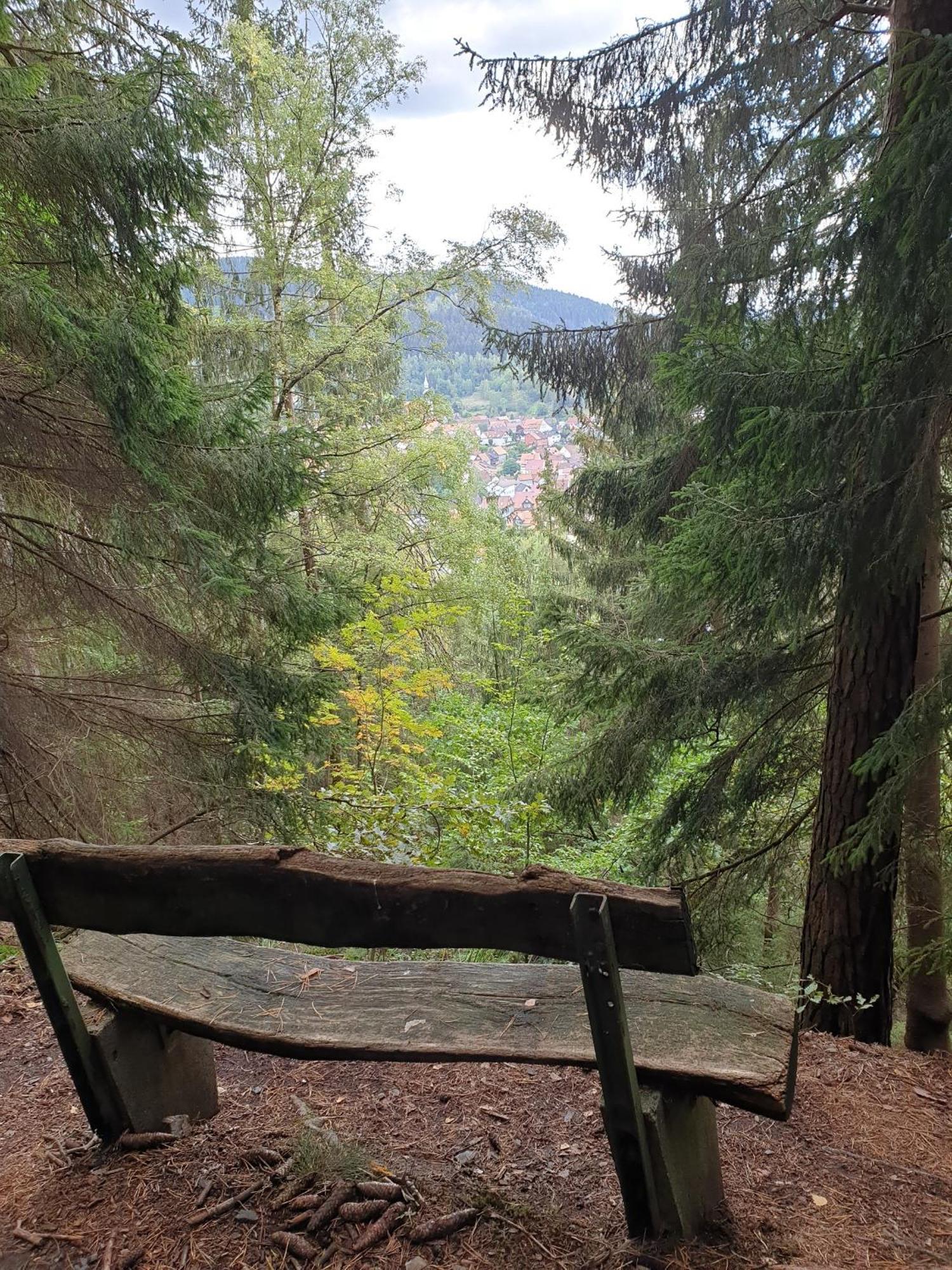 Ferienwohnung Reese- Horstmann Mit Hallenbad Und Sauna, Wlan "Harz Zu Jeder Jahreszeit" Bad Harzburg Pokoj fotografie