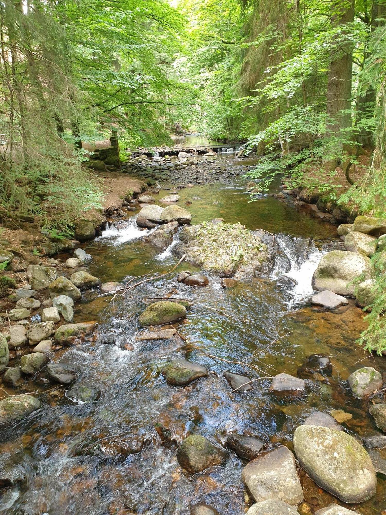 Ferienwohnung Reese- Horstmann Mit Hallenbad Und Sauna, Wlan "Harz Zu Jeder Jahreszeit" Bad Harzburg Pokoj fotografie